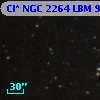 Cl* NGC 2264    LBM    9919