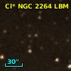 Cl* NGC 2264    LBM   10224