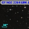 Cl* NGC 2264    LBM   10245