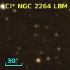Cl* NGC 2264    LBM   10457