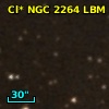 Cl* NGC 2264    LBM   11035