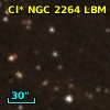 Cl* NGC 2264    LBM   11217