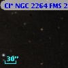 Cl* NGC 2264    FMS  2-397