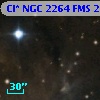 Cl* NGC 2264    FMS  2-1311