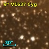 V* V1637 Cyg