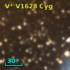 V* V1628 Cyg