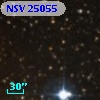 NSV 25055