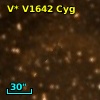 V* V1642 Cyg