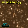V* V1629 Cyg