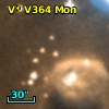 V* V364 Mon