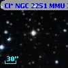 Cl* NGC 2251    MMU      35