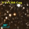 V* V1366 Cyg