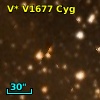 V* V1677 Cyg