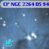Cl* NGC 2264     DS      84