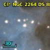 Cl* NGC 2264     DS      88
