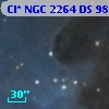 Cl* NGC 2264     DS      98