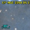 Cl* NGC 2264     DS     172