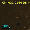 Cl* NGC 2264     DS     466