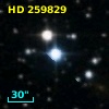 HD 259829