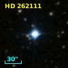 HD 262111