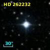 HD 262232