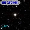 HD 262448