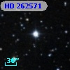 HD 262571