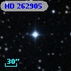 HD 262905