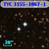TYC 3155-1067-1