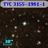 TYC 3155-1981-1