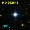 HD 262843