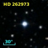 HD 262973