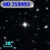 HD 259993