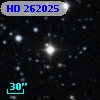 HD 262025