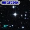 HD 262269