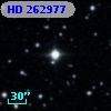HD 262977