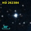 HD 262384