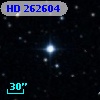 HD 262604