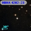 HBHA 4202-23