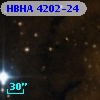 HBHA 4202-24