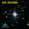 HD 291946