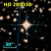 HD 289038