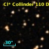 Cl* Collinder  110     DI    1101