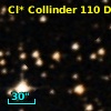 Cl* Collinder  110     DI    1103