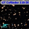 Cl* Collinder  110     DI    1105