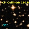 Cl* Collinder  110     DI    2102