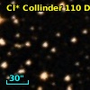 Cl* Collinder  110     DI    2107
