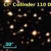 Cl* Collinder  110     DI    2111