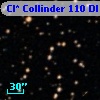 Cl* Collinder  110     DI    2115