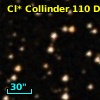 Cl* Collinder  110     DI    2117